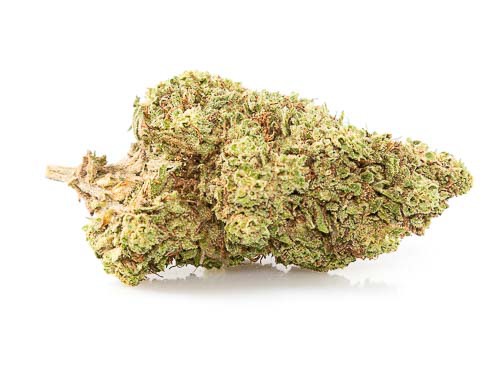 CBD Blüten der Sorte Orange Skunk