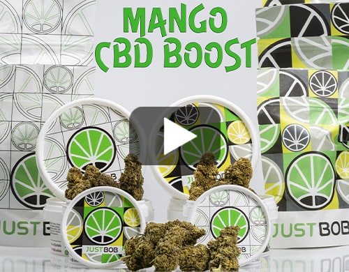 CBD-online-shop-Mango-CBD-Boost