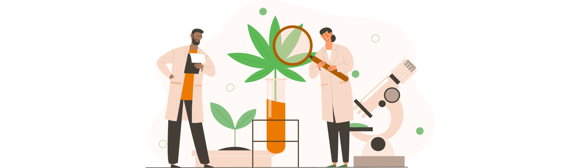 Labor-produktion-öl-von-cbd