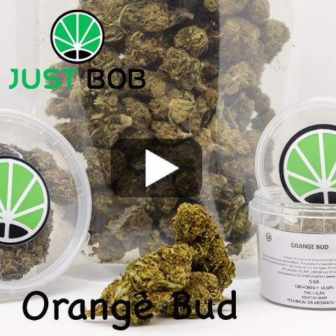 video-orange-bud Orange Bud