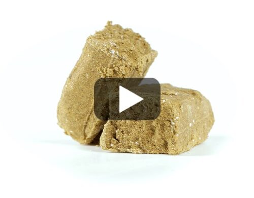 Videovorschau burbuka cbd hash