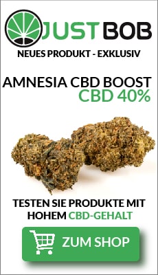 amnesia cbd bluten boost