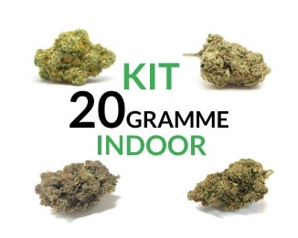 kit 20 indoor DE-min Kit 20 Gramme Indoor justbob.de