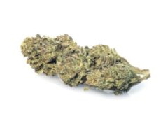 lemon-cheese-cbd-cannabis-bluten lemon-cheese-cbd-cannabis-bluten