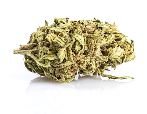 CBD Blüten der Sorte Mango Haze