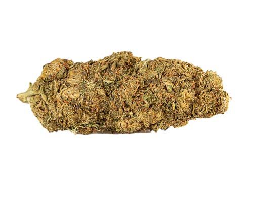 CBD Blüten der Sorte Mango Haze