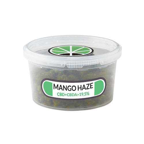 mango-haze-kush-marihuana mango-haze-kush-marihuana