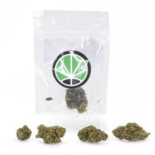 mango-haze-marihuana-pflantze mango-haze-marihuana-pflantze