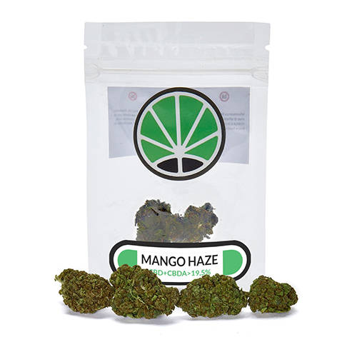 mango-legal-cannabis-cbd--cannabis-blumen mango-legal-cannabis-cbd--cannabis-blumen