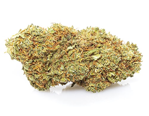 CBD Blüten der Sorte Orange Bud