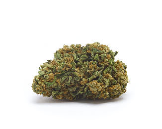 Orange Bud CBD Marihuana Orange Bud CBD Cannabis