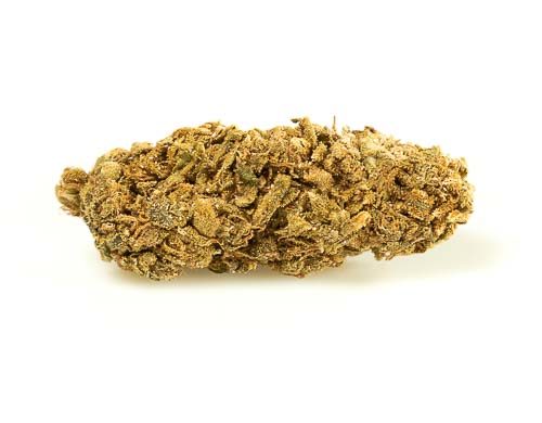 white widow cannabis