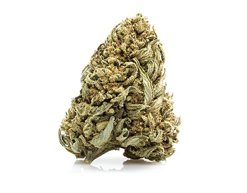 White Widow Cannabis Blüte Sorte