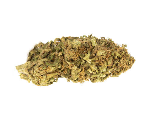 Bubblegum cbd blüten Bild von Bubblegum cbd blüten