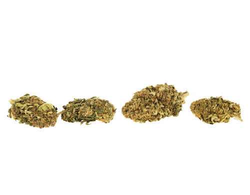 Bubblegum cbd gras drittes foto von Bubblegum cbd gras