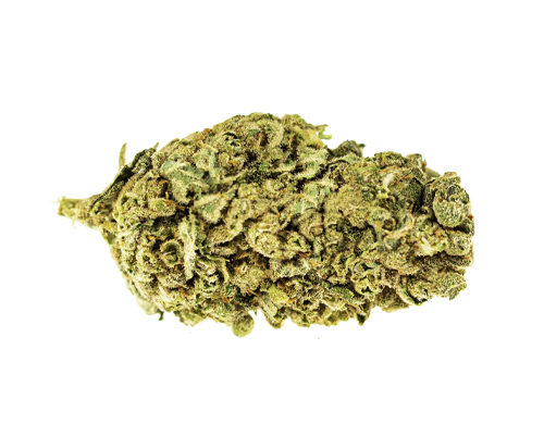 CBD Blüten der Sorte Bubblegum
