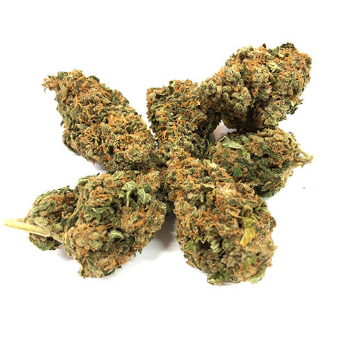 blueberry-cbd-flower-uk blueberry-cbd-flower