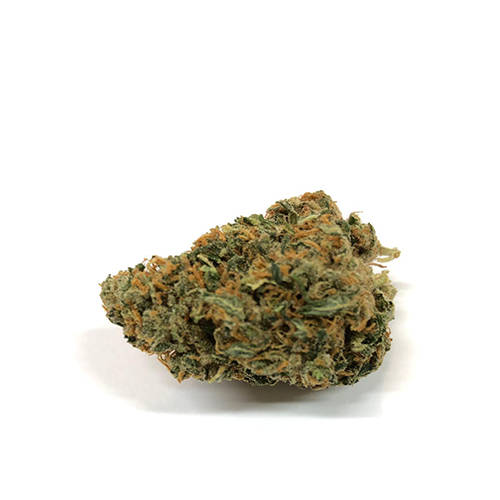 blueberry-weed-shop-uk-cbd-plants-cbd-flower blueberry-weed
