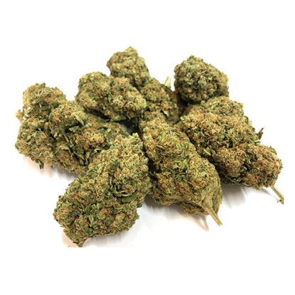bubblegum-cannabis-planze bubblegum-cannabis-planze