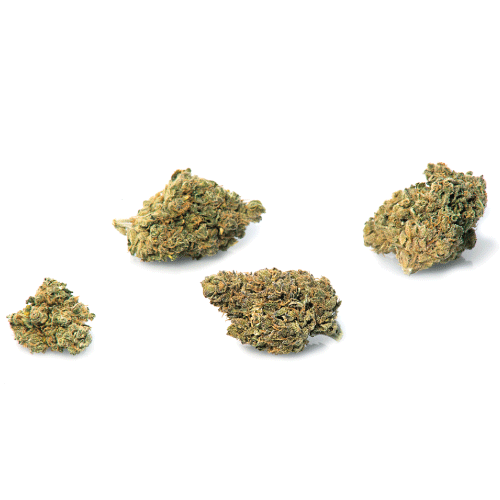 bubblegum-cbd-bluten bubblegum-cbd-bluten