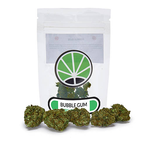 bubblegum-cbd-marihuana-kaufen-blatt bubblegum-cbd-marihuana-kaufen-blatt