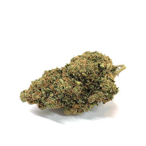 Bubblegum CBD Cannabis Bubblegum CBD Cannabis