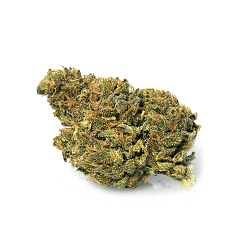 bubblegum-weed-cbd-cannabis bubblegum-weed-cbd-cannabis