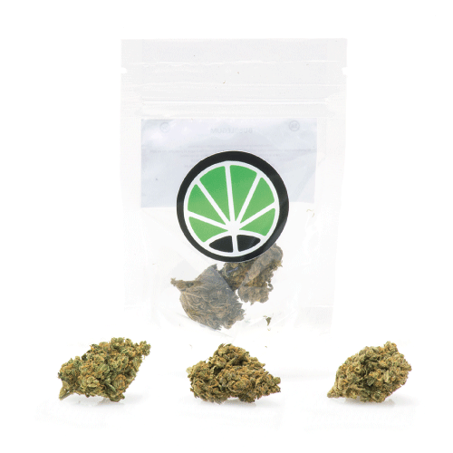bubblegum-weed-marihuana-pflantze bubblegum-weed-marihuana-pflantze
