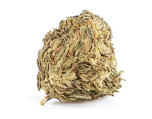 CBD Blüten der Sorte Melon Kush