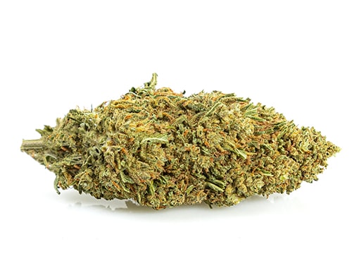 CBD Blüten der Sorte Melon Kush