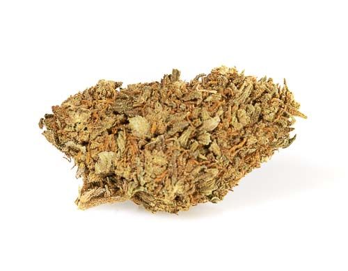 CBD Blüten der Sorte Melon Kush