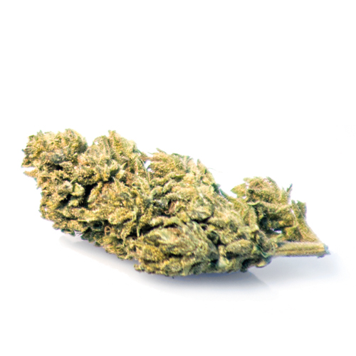 melon-kush-cbd-bluten-cannabis melon-kush-cbd-bluten-cannabis