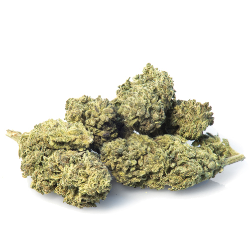 melon-kush-weed-cannabis-bestfellen melon-kush-weed-cannabis-bestfellen