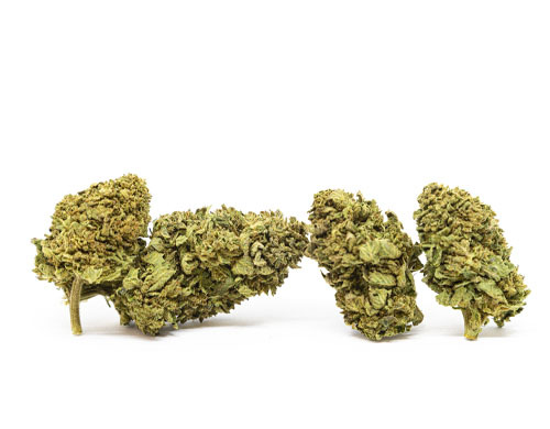 gorilla-glue-marihuana