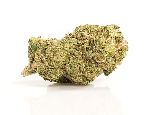 CBD Blüten der Sorte Gorilla Glue