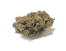 california-haze-CBD-cannabis-blumen california-haze-CBD-cannabis-blumen