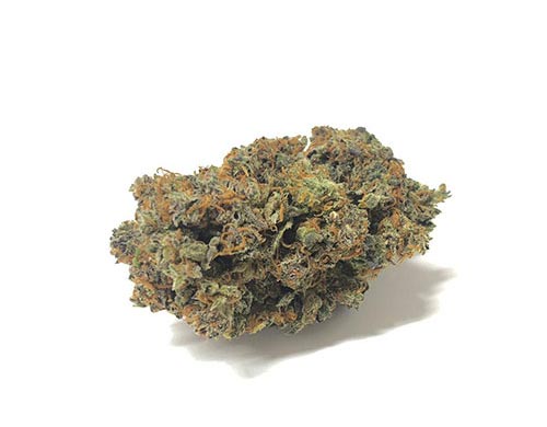 california-haze-CBD-cannabis-blumen-justbob California Haze Blumen