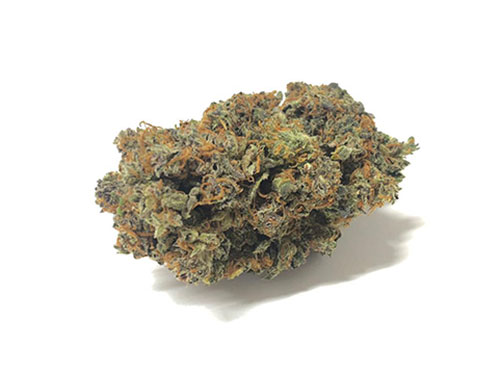 california-haze-CBD-cannabis-blumen california-haze-CBD-cannabis-blumen