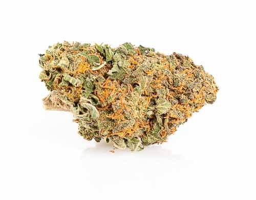 CBD Blüten der Sorte California Haze