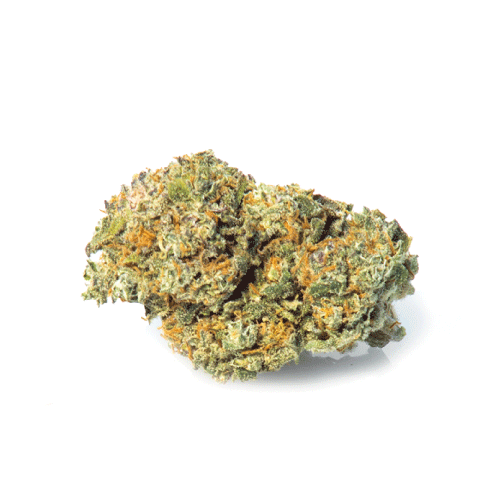 california-haze-cbd-bluten california-haze-cbd-bluten