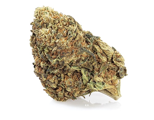 CBD Blüten der Sorte Master Kush