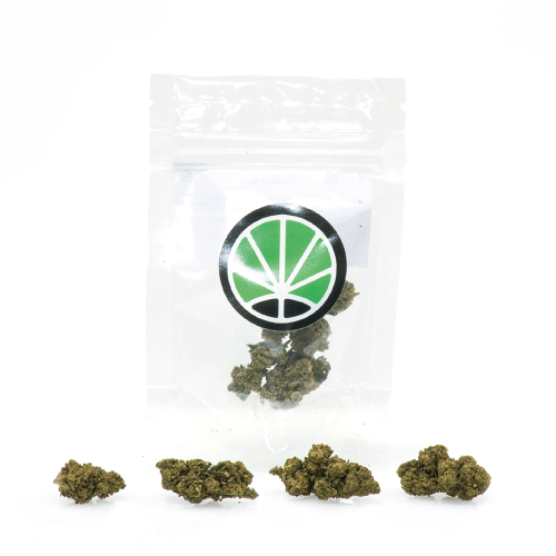 master-kush-cbd-bluten-marihuana master-kush-cbd-bluten-marihuana