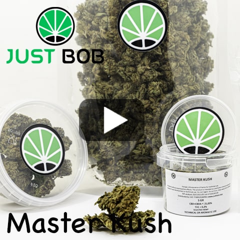 video master kush Master Kush
