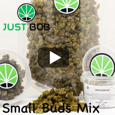 video-small-buds
