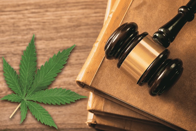 Die rechtliche Seite bei CBD
