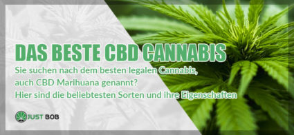 die beste cbd cannabis