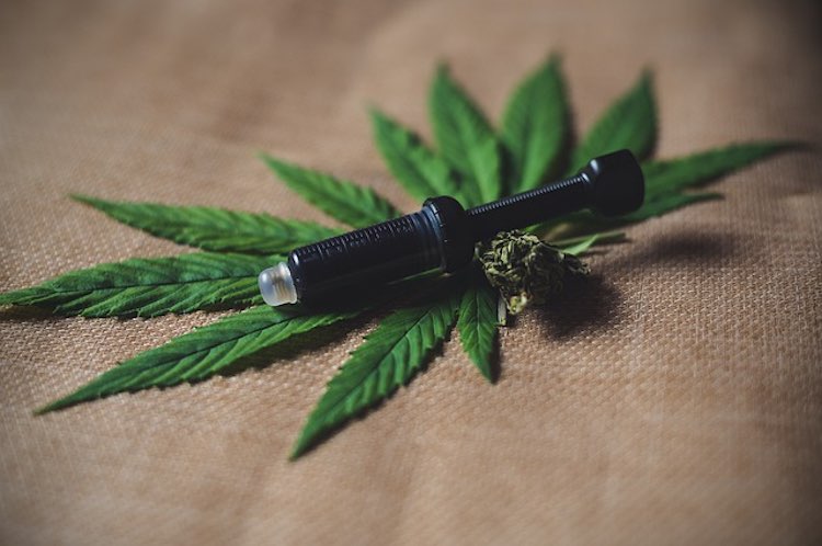 CBD Nebenwirkungen