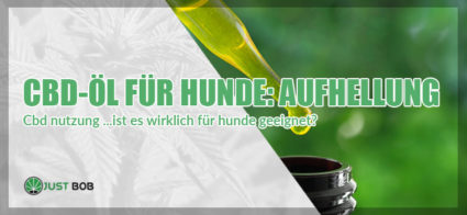 CBD-Öl für Hunde- Aufhellung