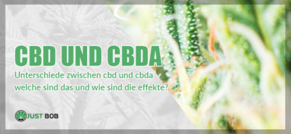 CBD und CBDA