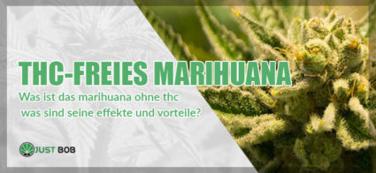 THC-freies Marihuana